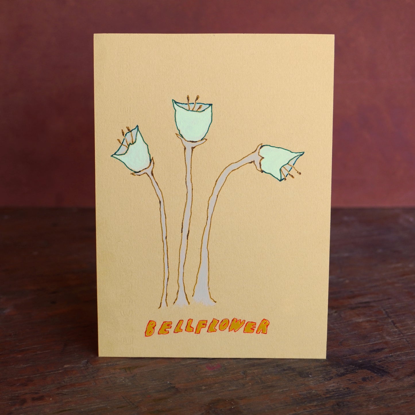 bellflower