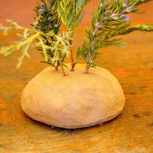 ikebana rock