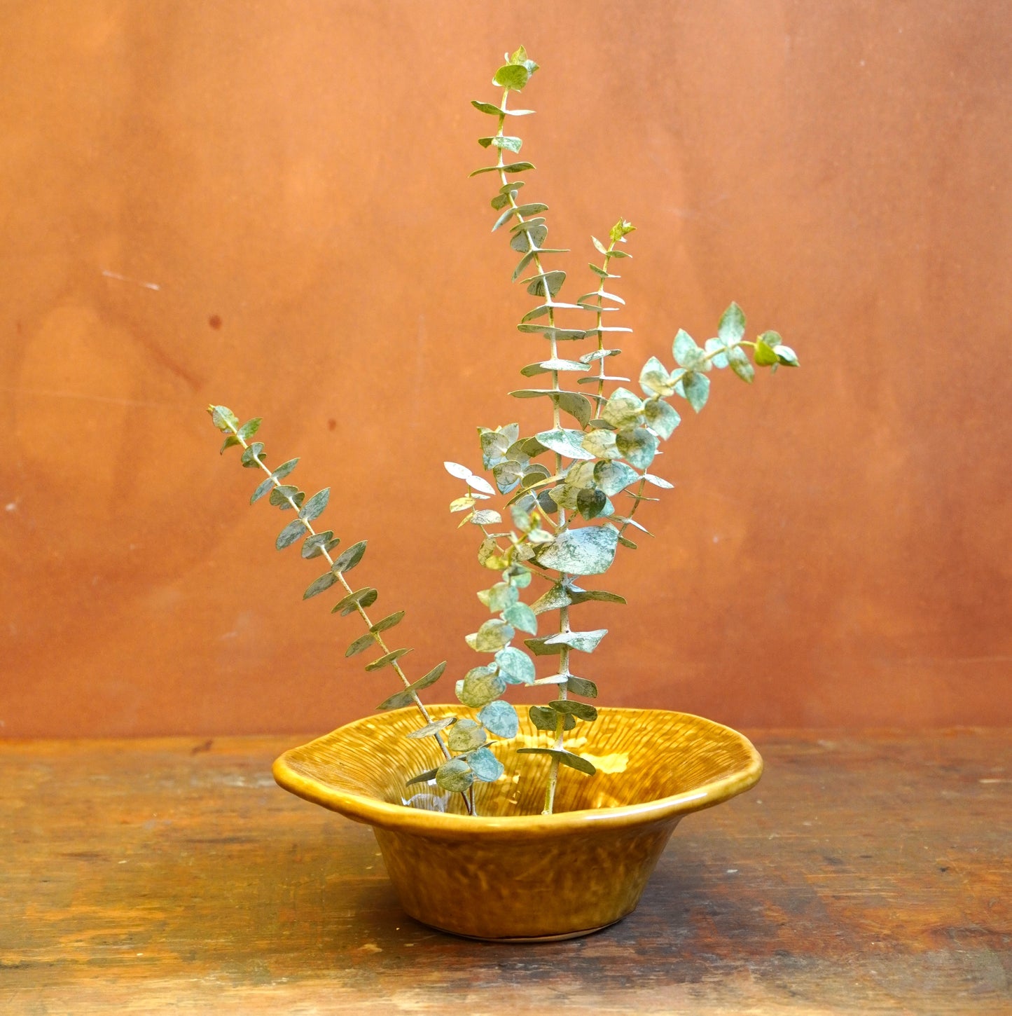 wide rim bowl