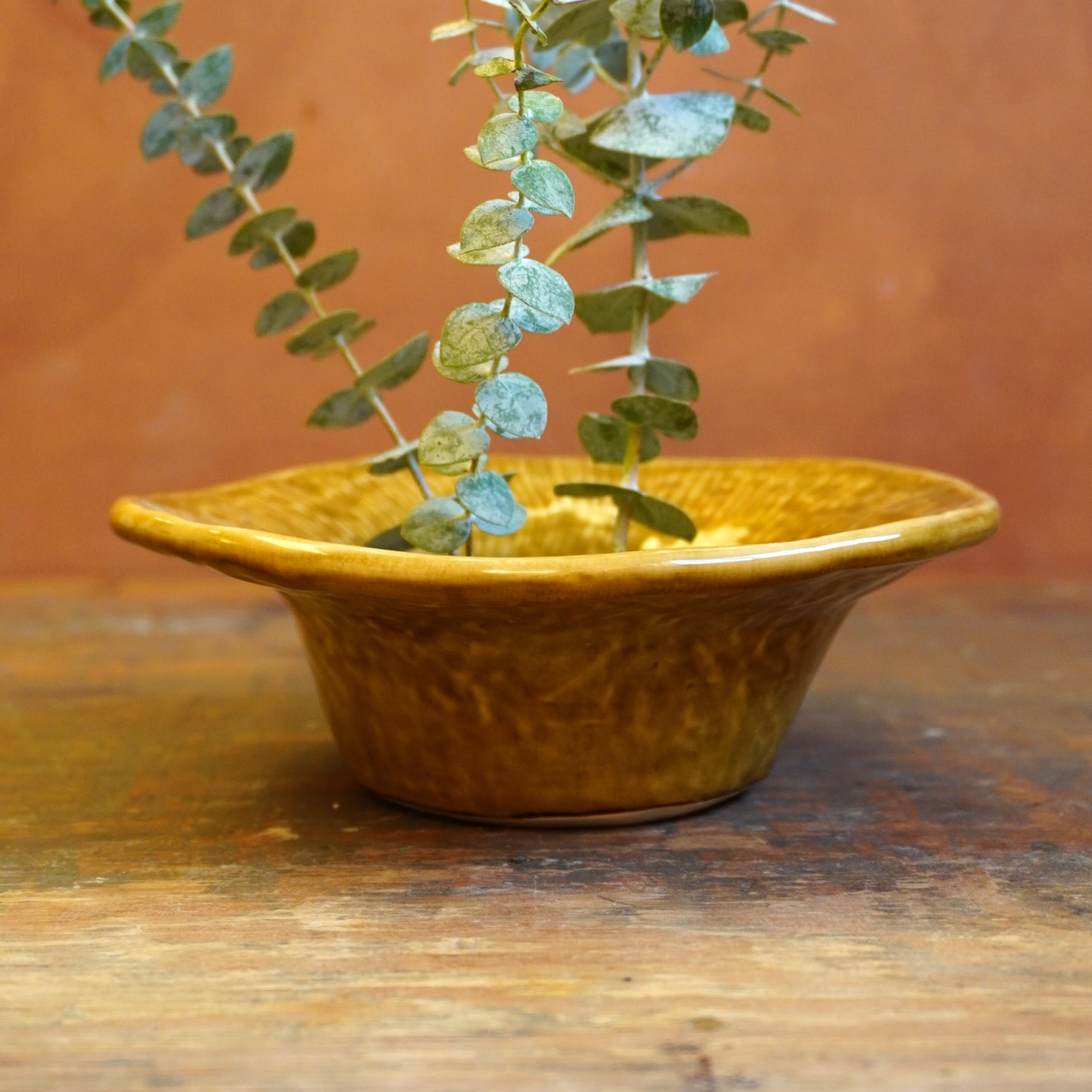 wide rim bowl