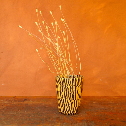 striped vessel