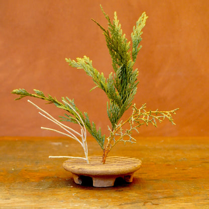 ikebana platform