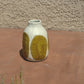 sunspots vessel