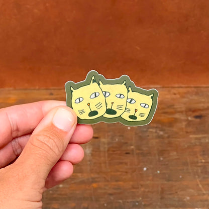 crazy cat sticker